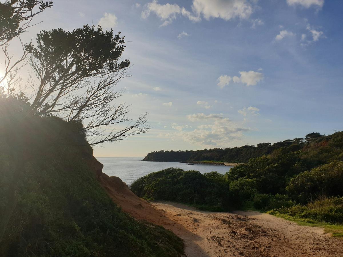 Fosters Beach (dog friendly), Mornington