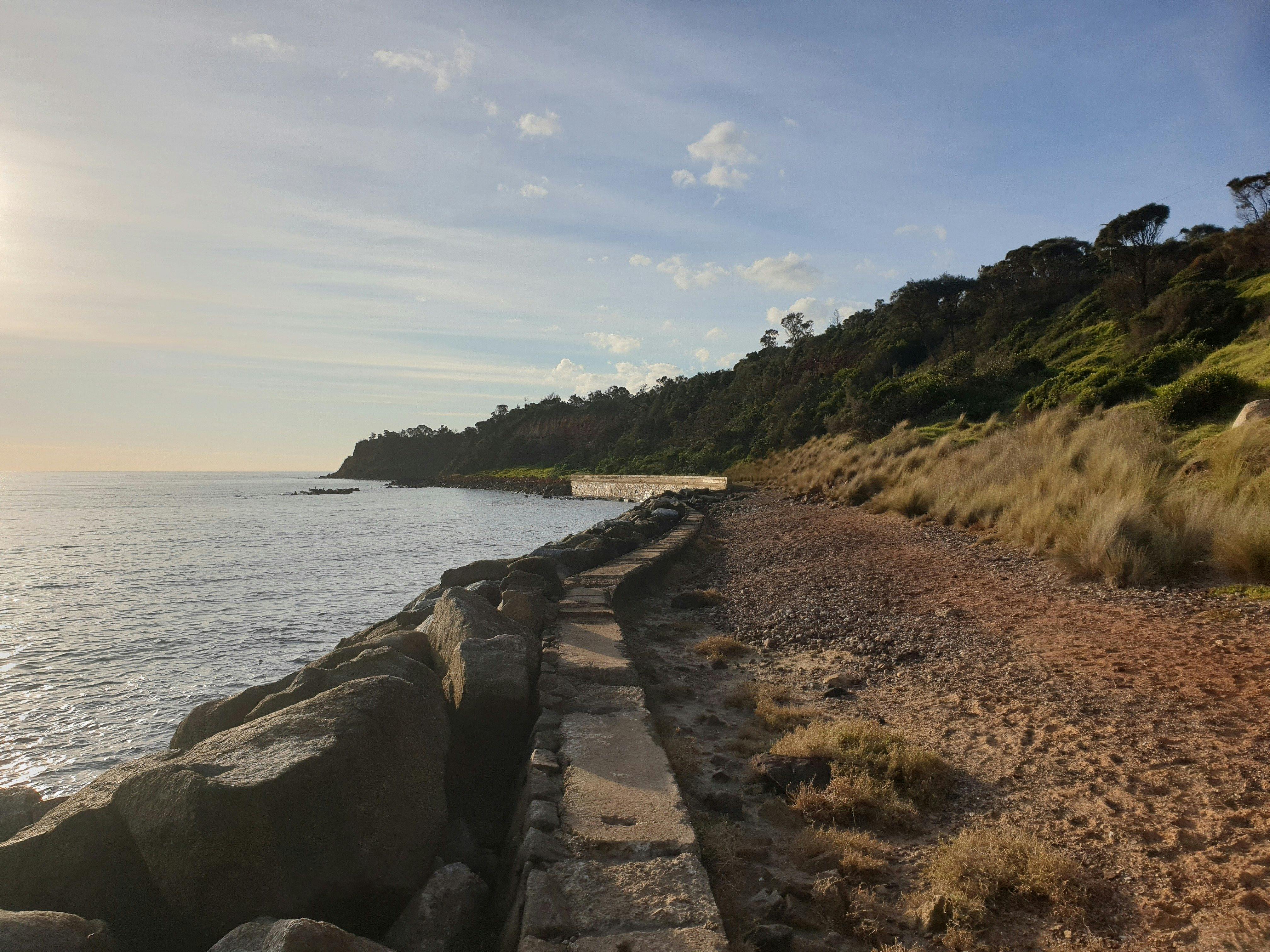 Fosters Beach (dog friendly), Mornington