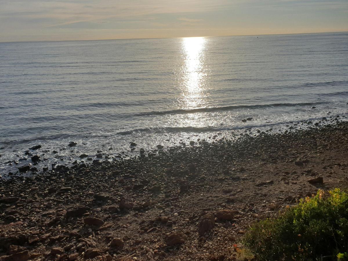 Fosters Beach (dog friendly), Mornington