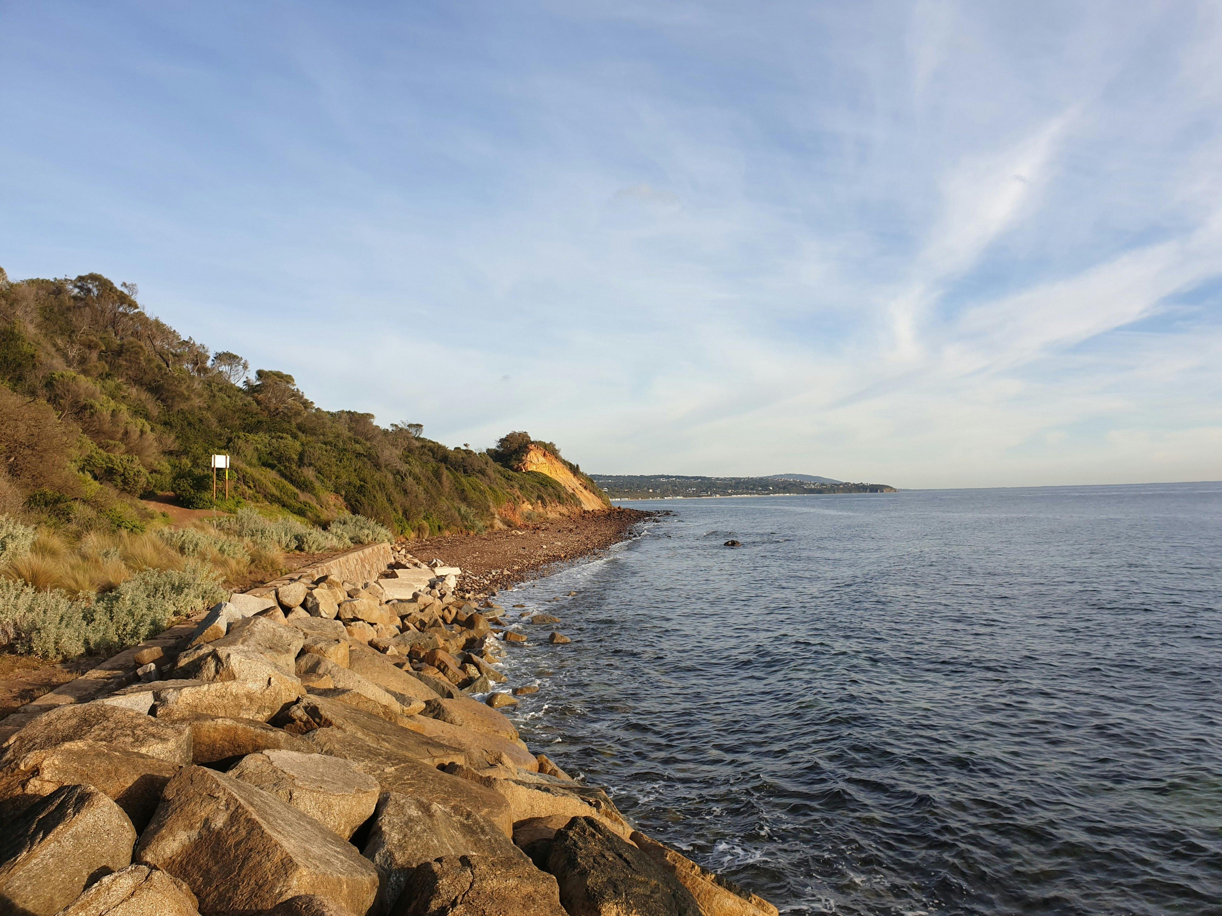 Fosters Beach (dog friendly), Mornington