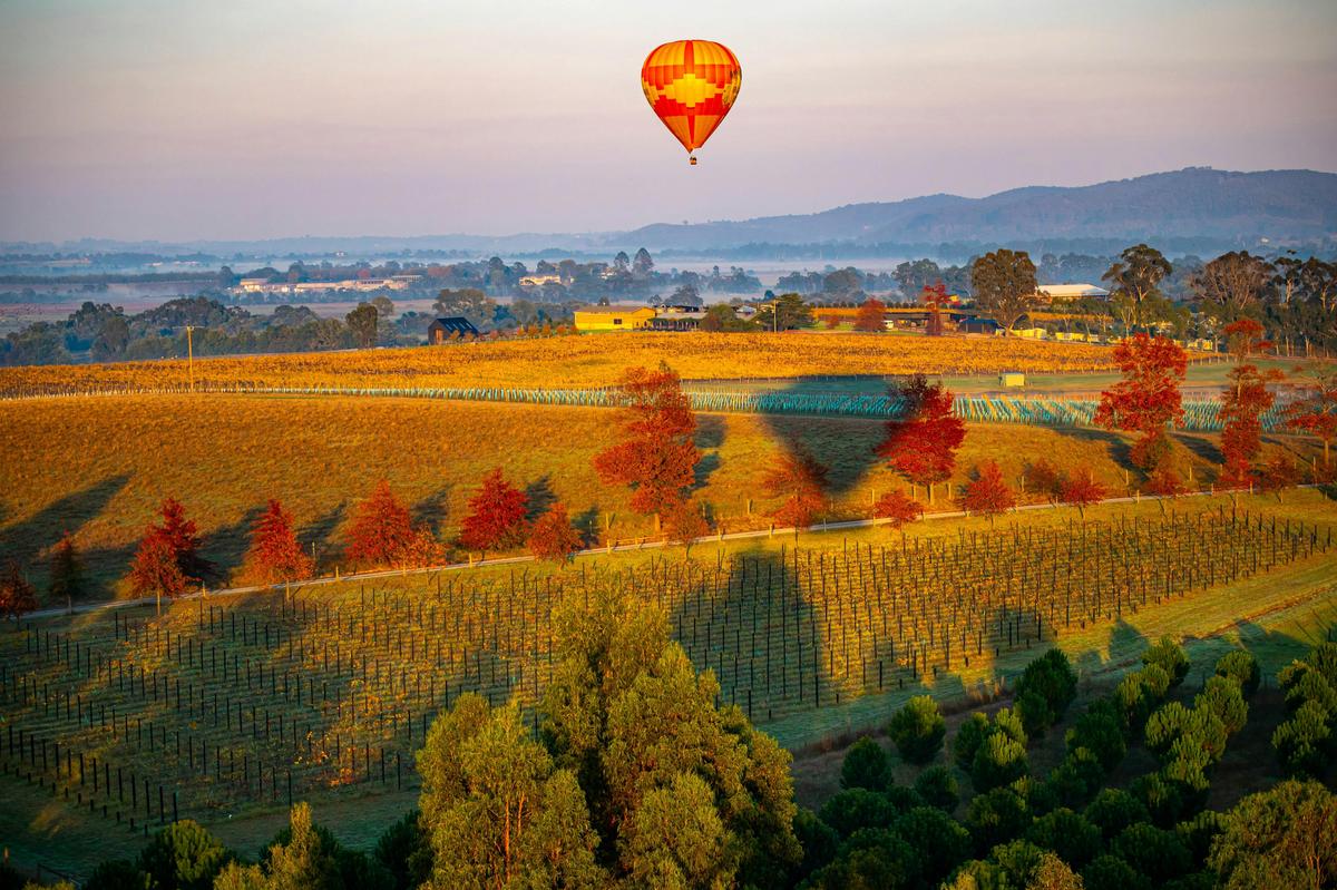 Yarra Valley Sunrise Balloon Flight
