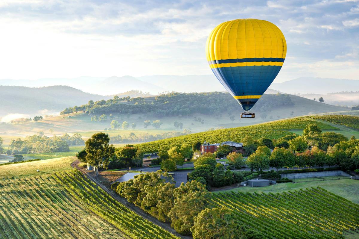 Yarra Valley Sunrise Balloon Flight