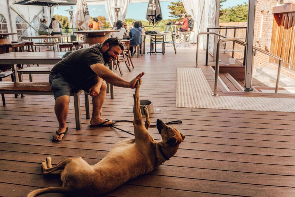 dog friendly