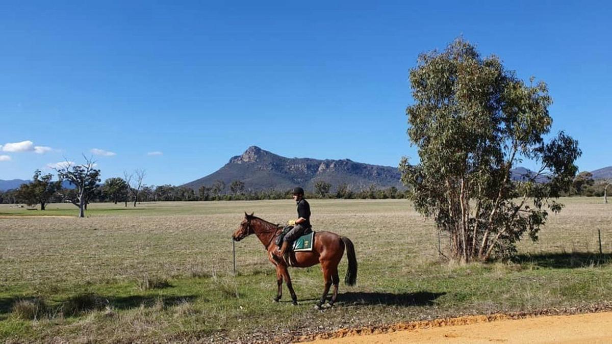 Person sitting on a horse with the Grampians National Park in the background