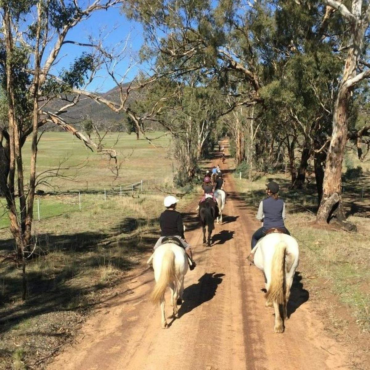 Group of people on horseback riding along a country trail