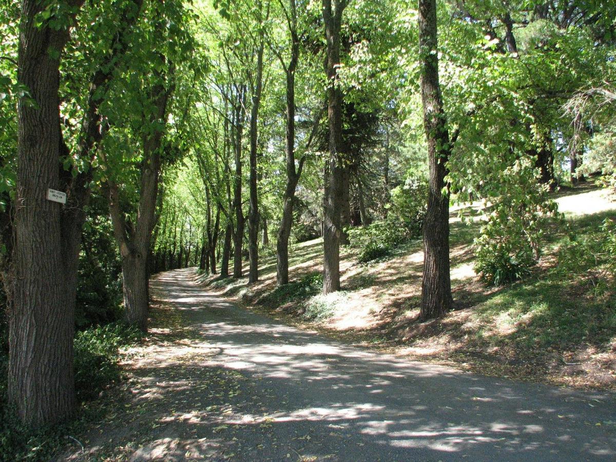 Wombat Hill Botanic Garden