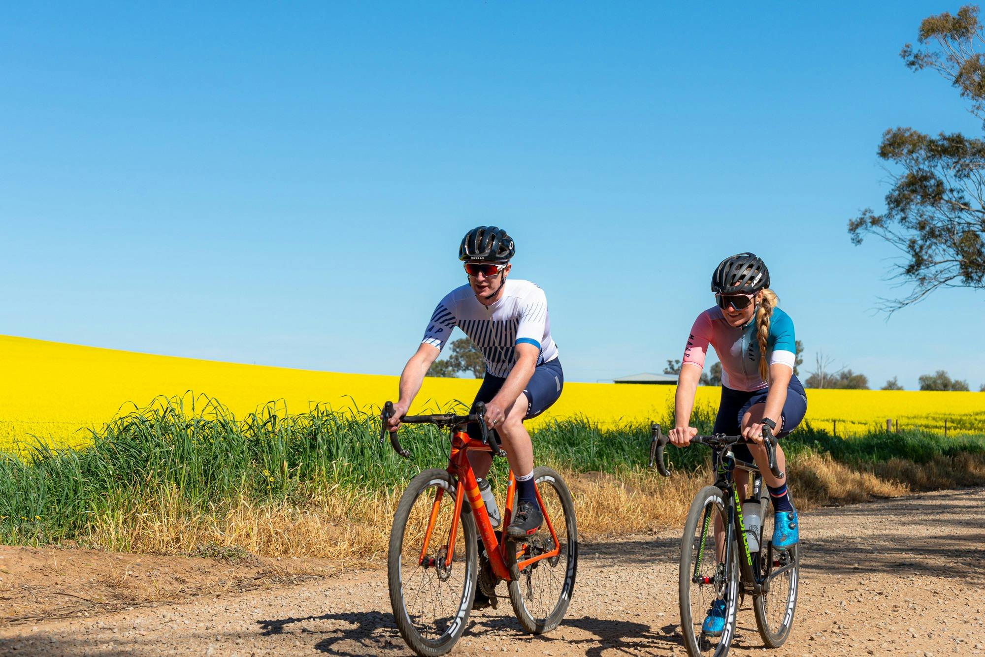 Canola fields, cycling, Glenrowan