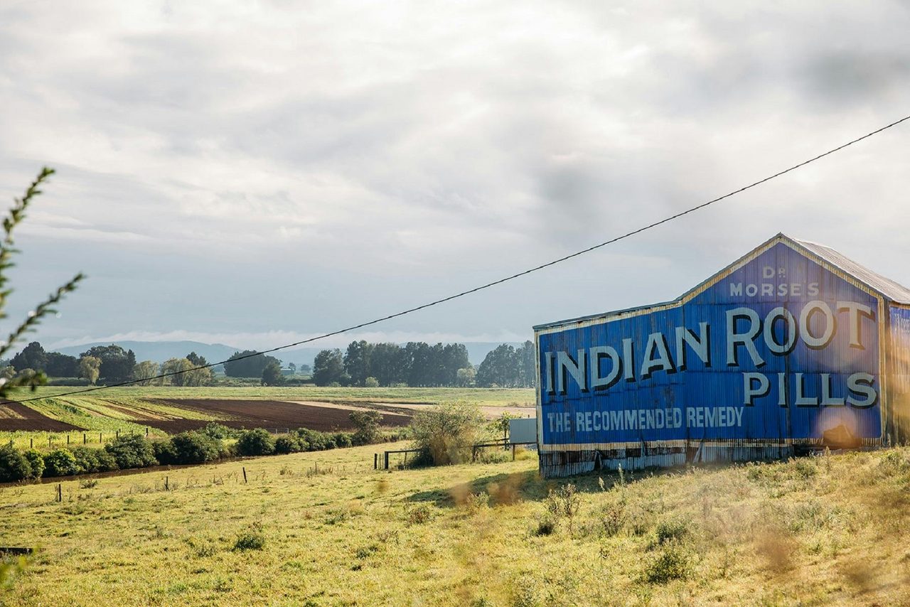 Indian Root Pills Building
