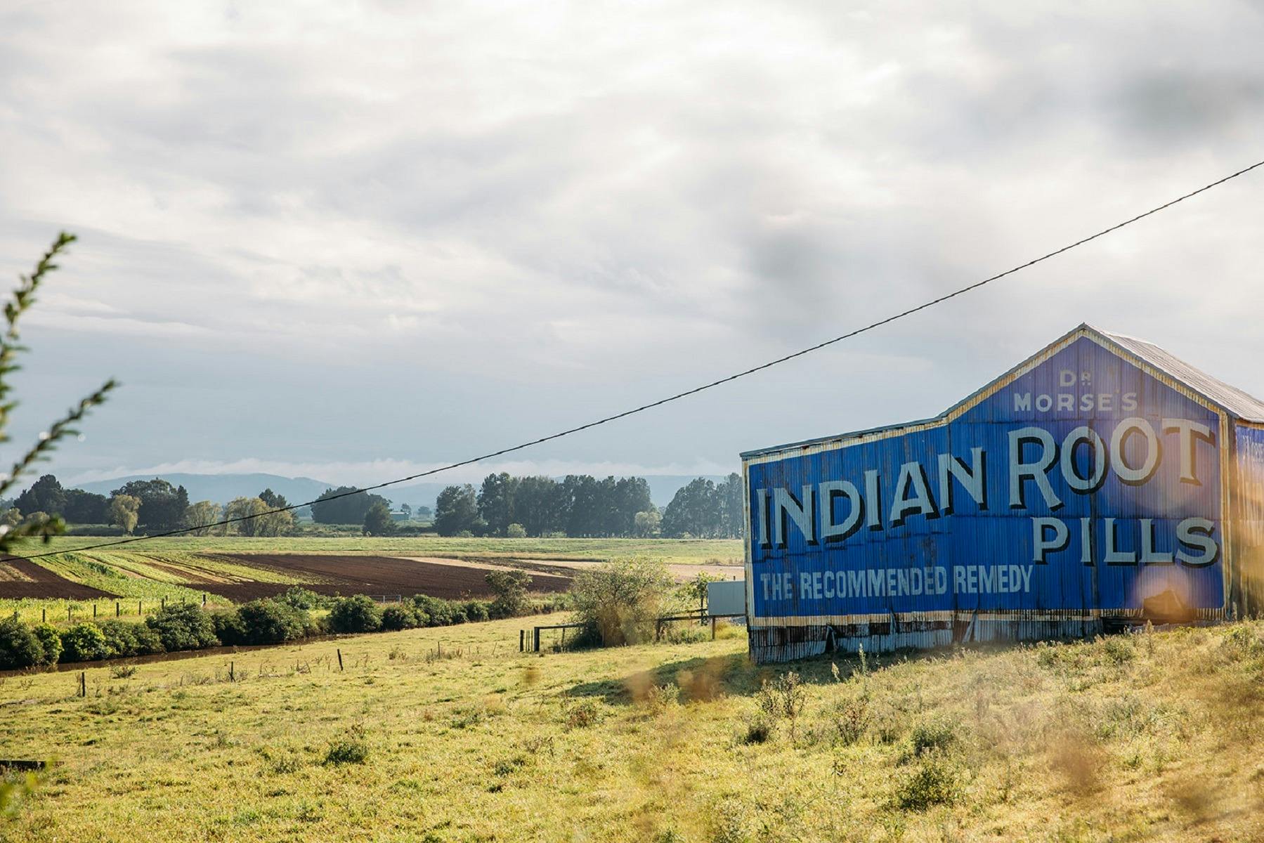 Indian Root Pills Building
