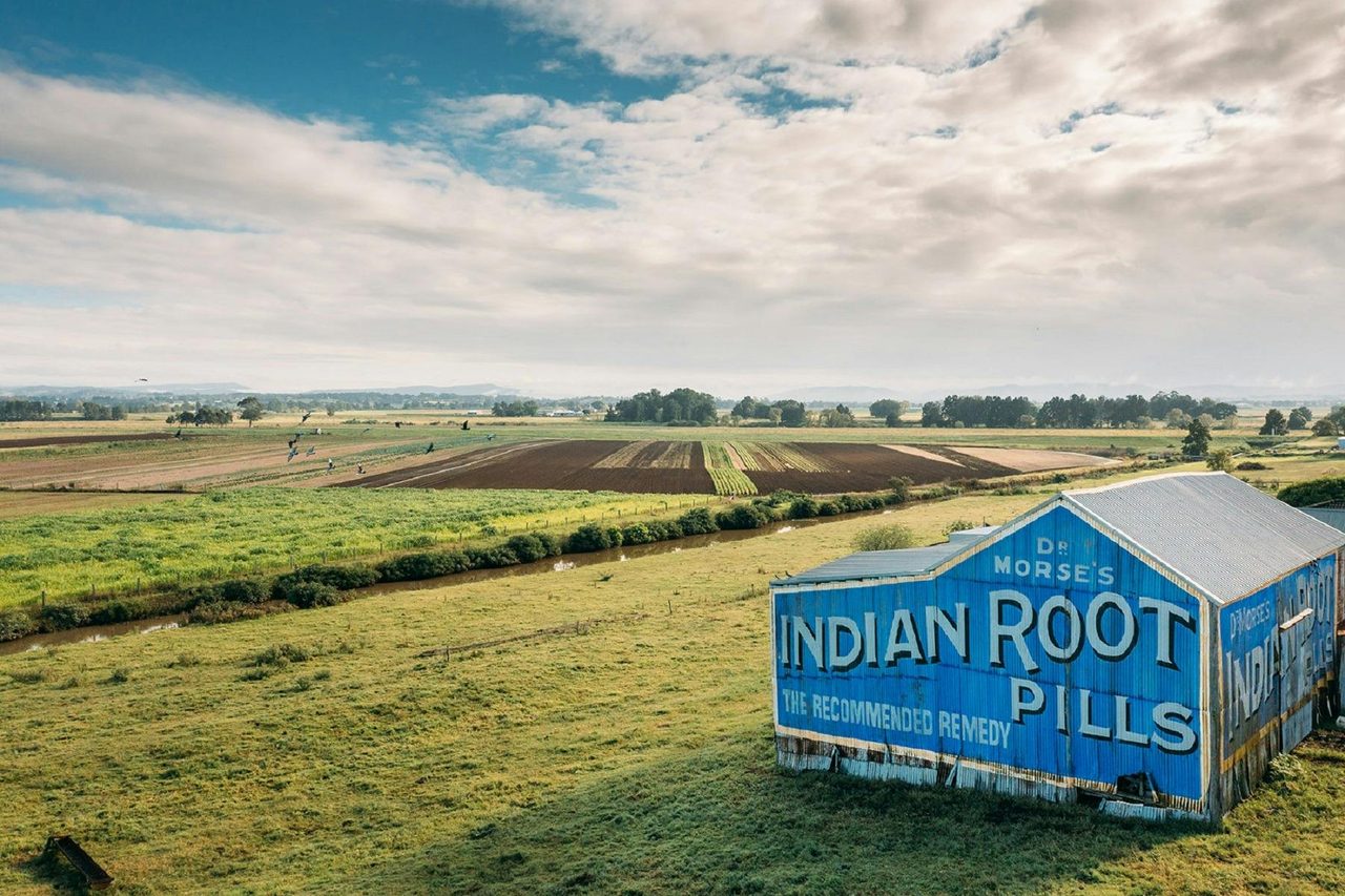Indian Root Pills Building