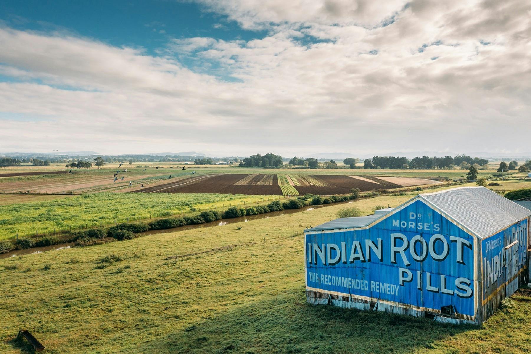 Indian Root Pills Building