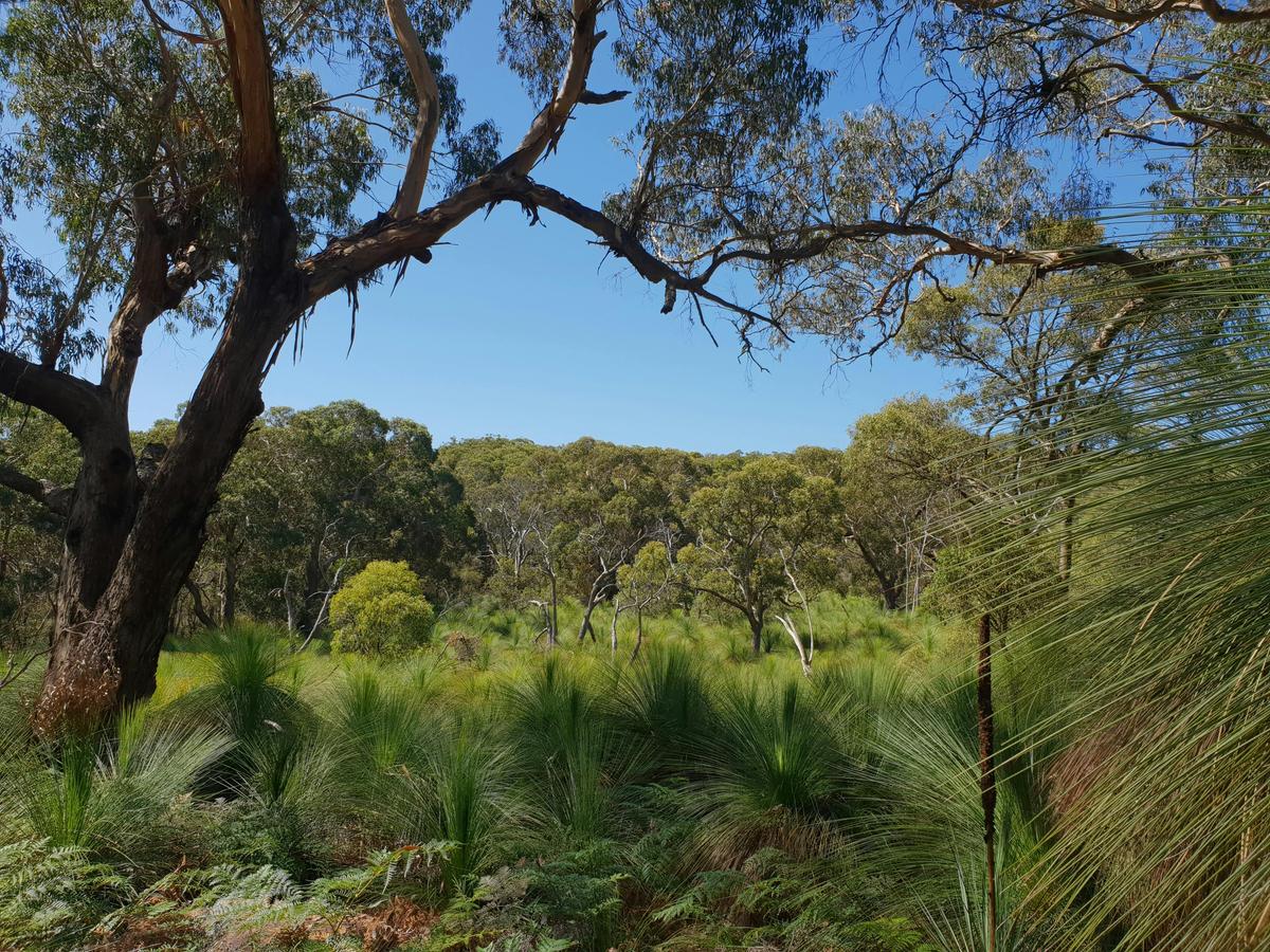 Greens Bush to Lightwood Camp Walk