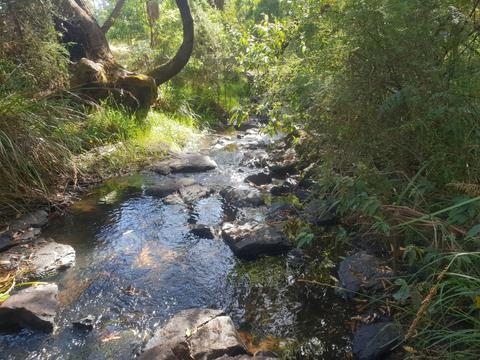 Greens Bush to Lightwood Camp Walk