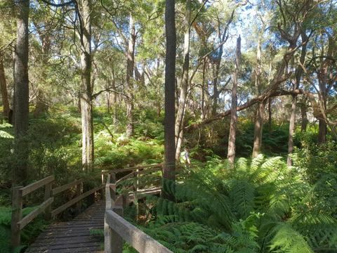 Greens Bush to Lightwood Camp Walk