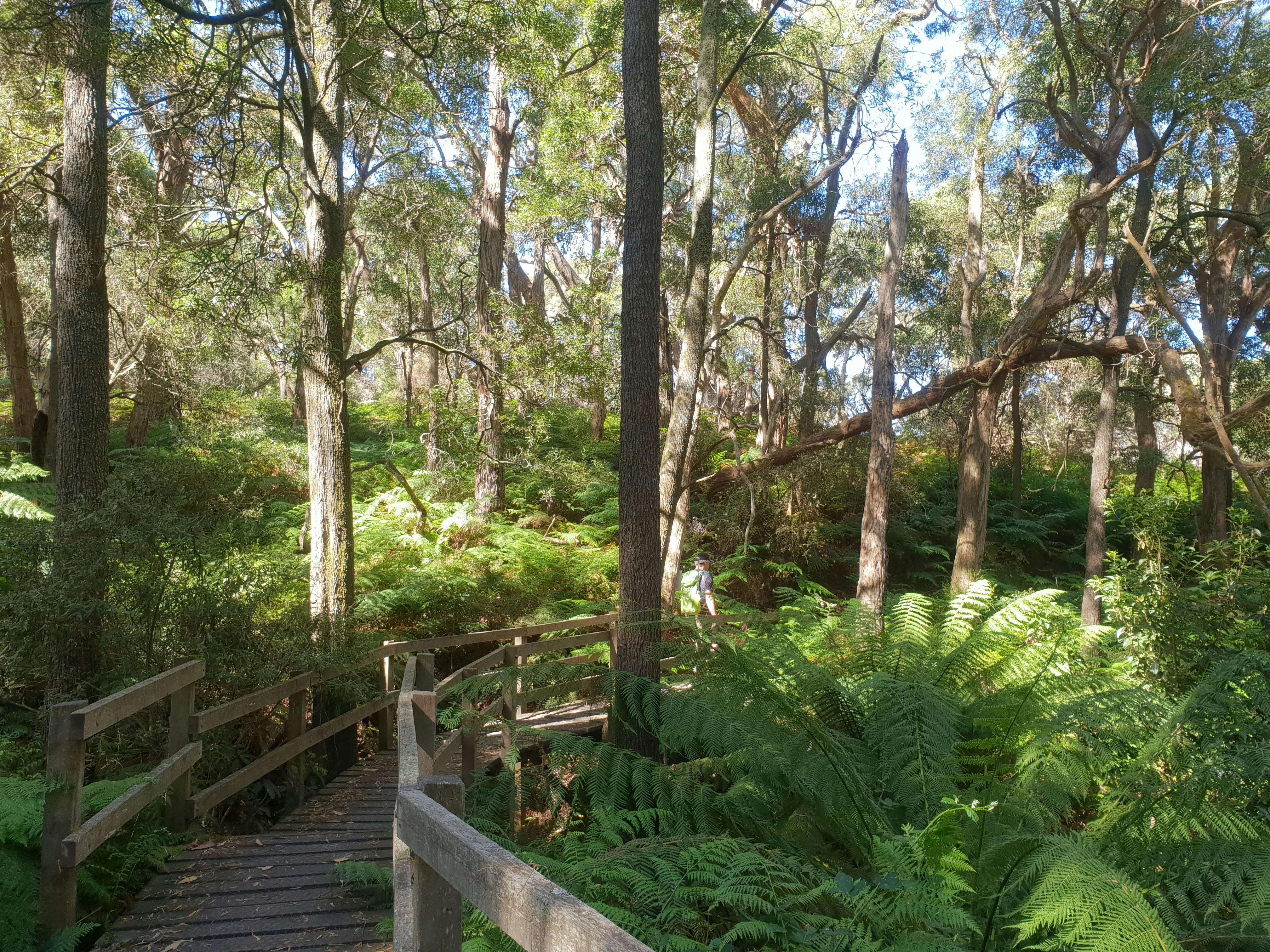 Greens Bush to Lightwood Camp Walk