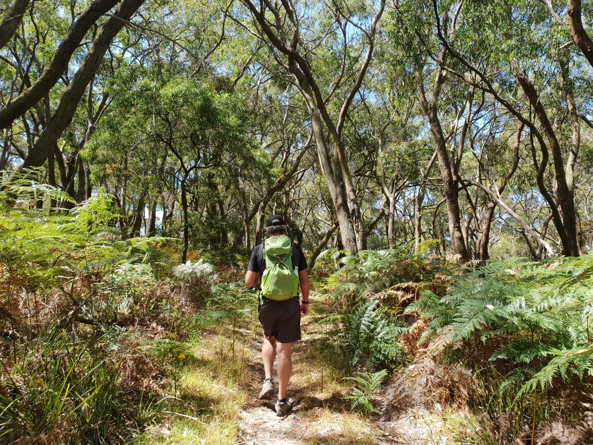 Greens Bush to Lightwood Camp Walk
