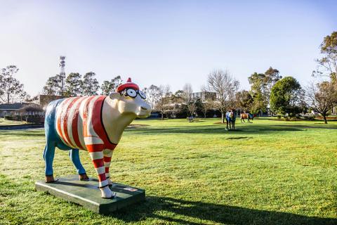 Greater Shepparton Moooving Art