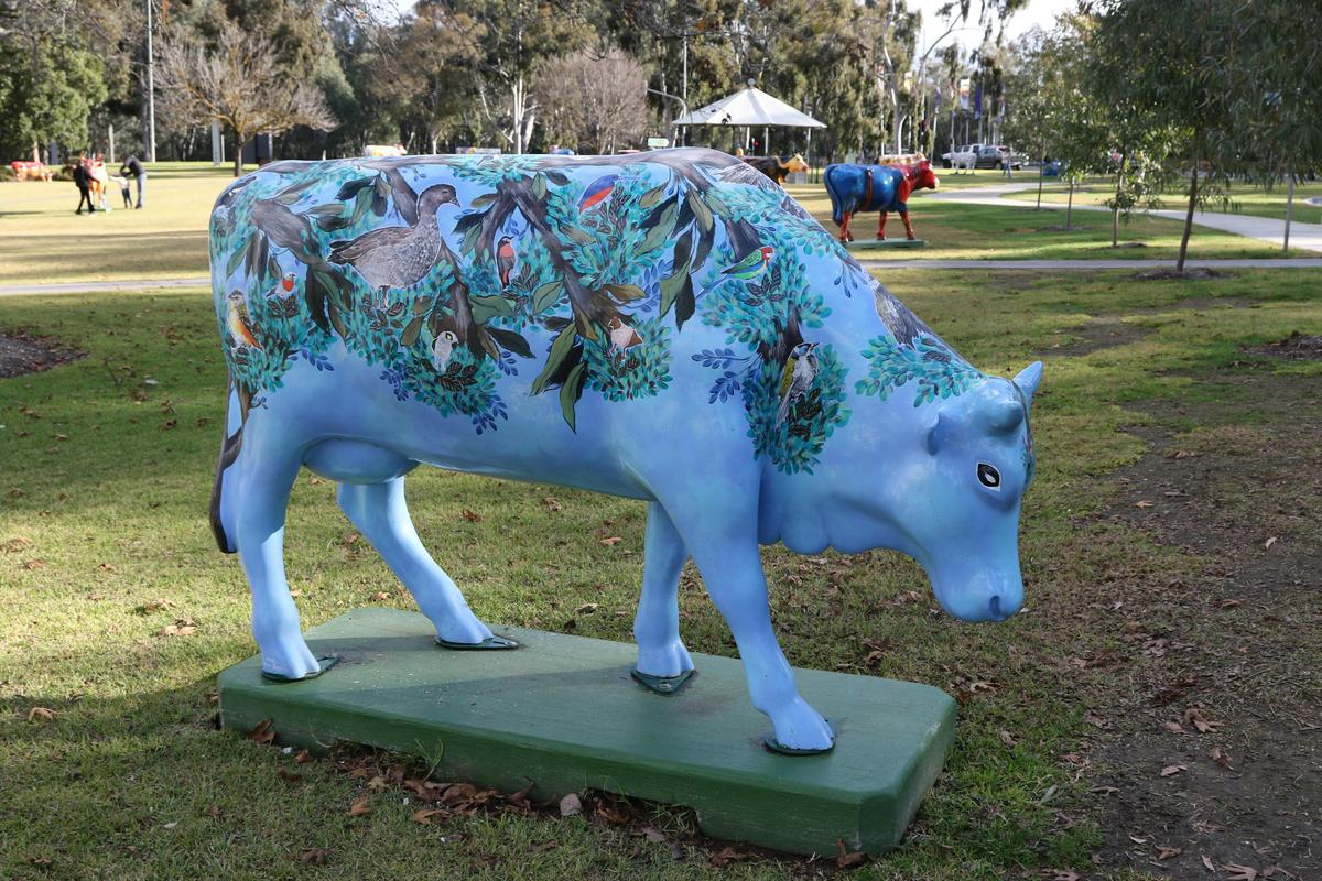 Moobird Moooing Art by Mandy Charquero in Monash Park Shepparton