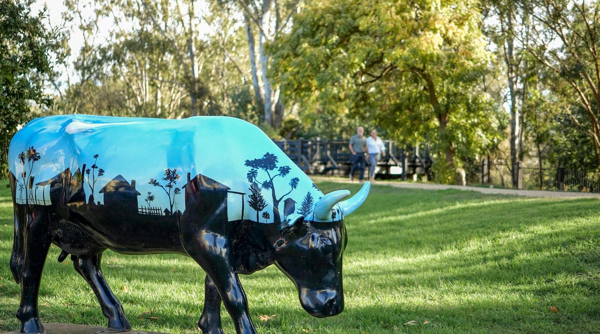 Meteorite Cow on the bank of the Goulburn River in Murchison