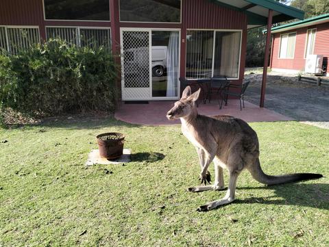 Halls Gap Valley Lodges