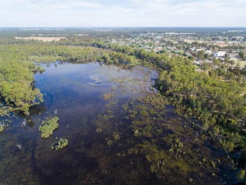 Gemmill Swamp Wildlife Reserve