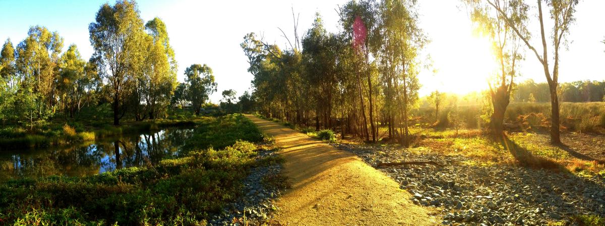 Gemmill Swamp walking trails