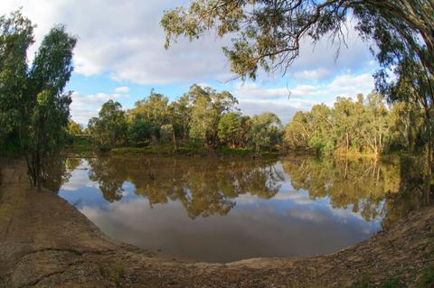 Gemmill Swamp Wildlife Reserve