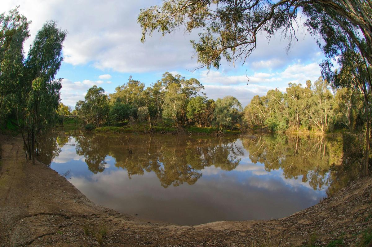 Gemmill Swamp