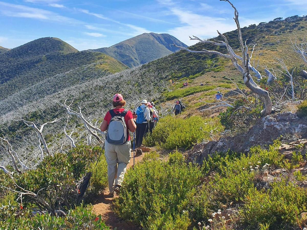 Exploring the High Country with Hedonistic Hiking