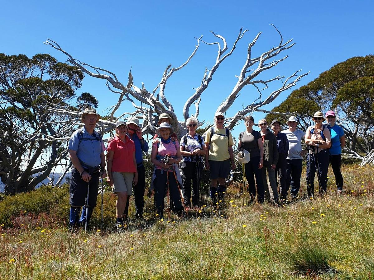 Smalll, friendly hiking groups