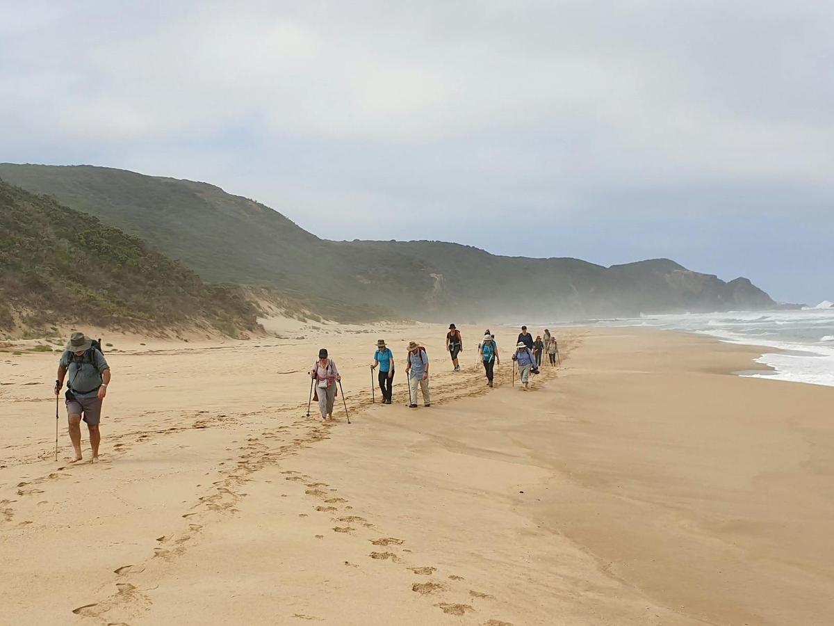 Deserted beach on the Great Ocean Walk