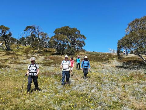 Hiking at Hotham