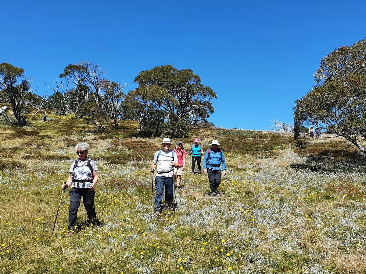 Hiking at Hotham