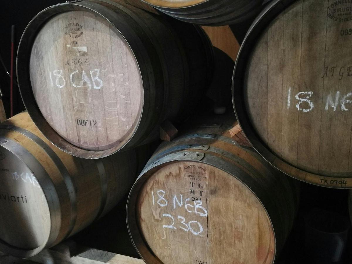 Tasting nebbiolo wines in Beechworth