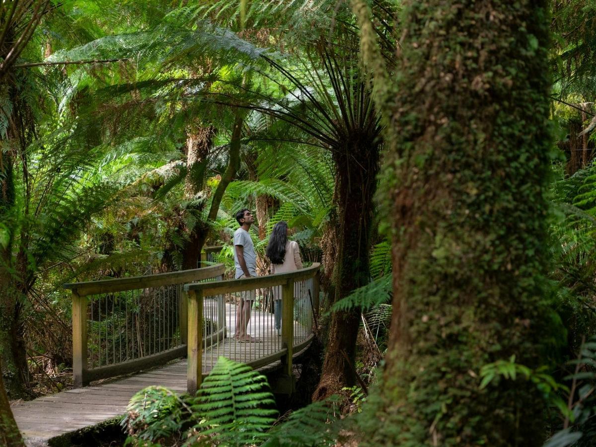 Great Ocean Road Day Tour
