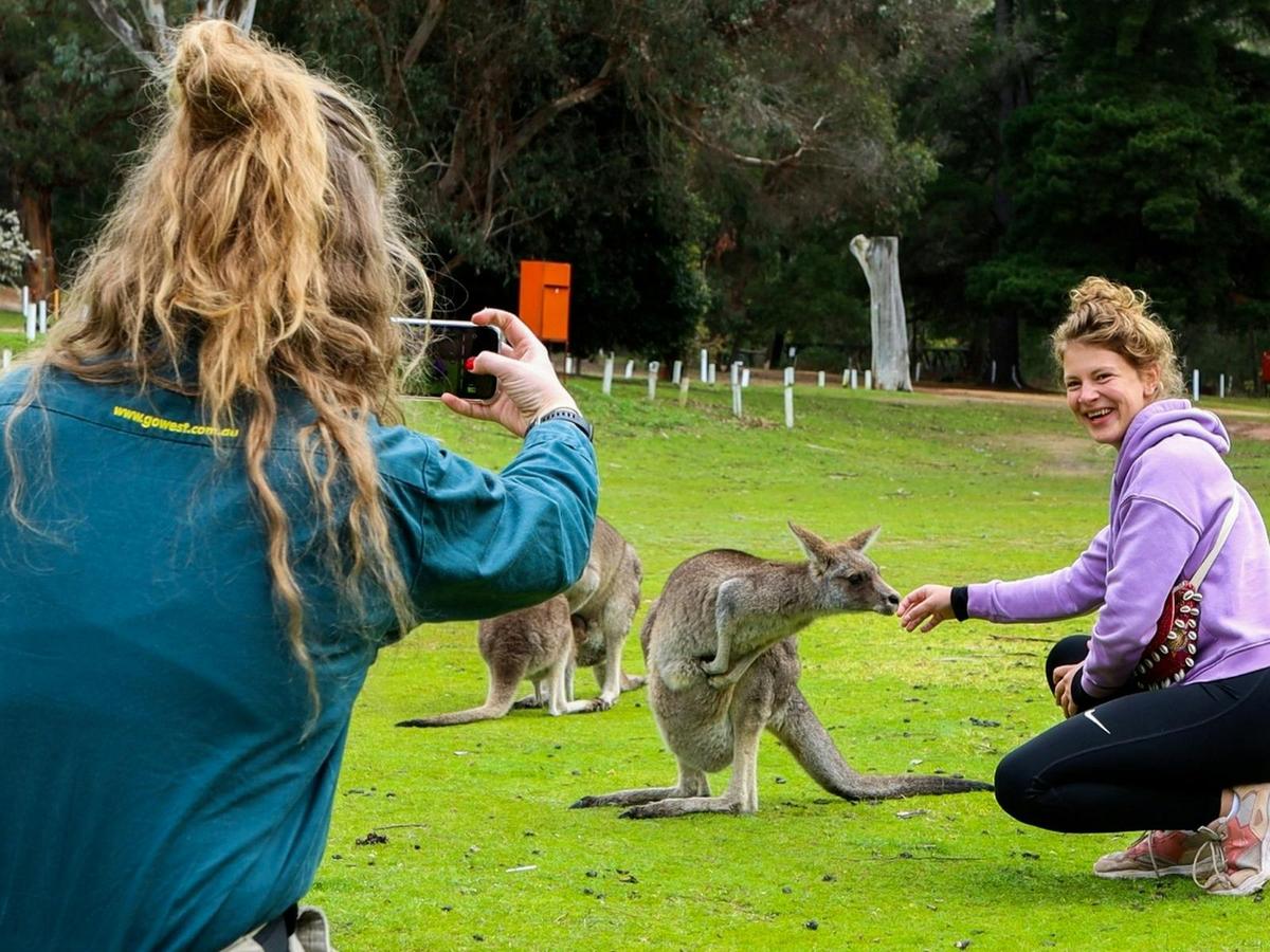 Grampians Day Tour