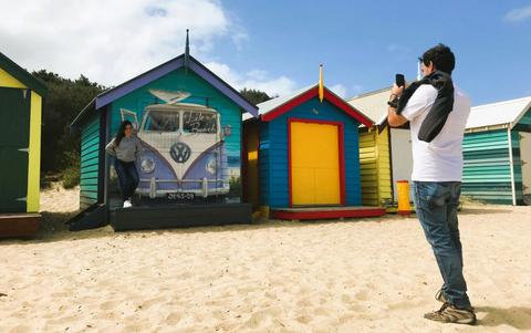 Phillip Island Penguin Parade