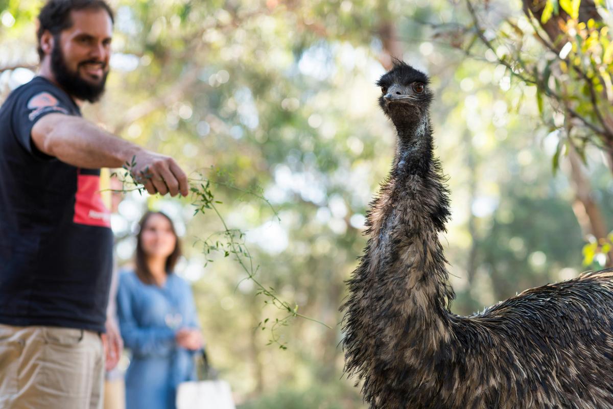 Guaranteed wildlife sightings