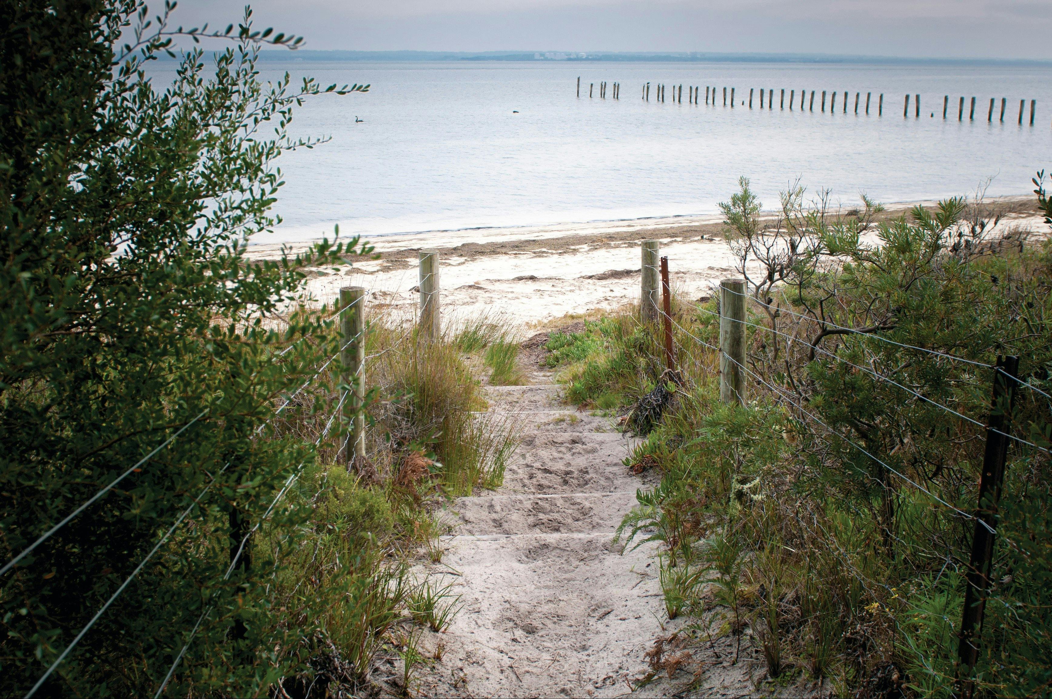 French Island National Park