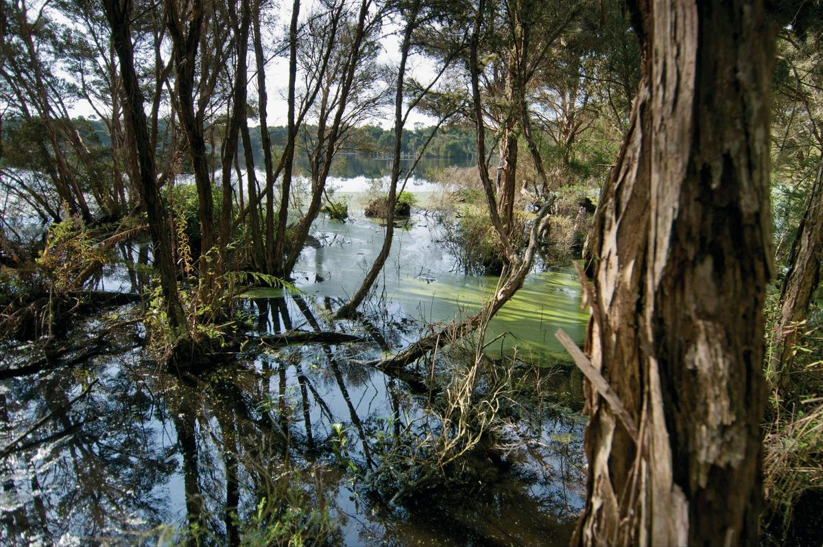 French Island National Park