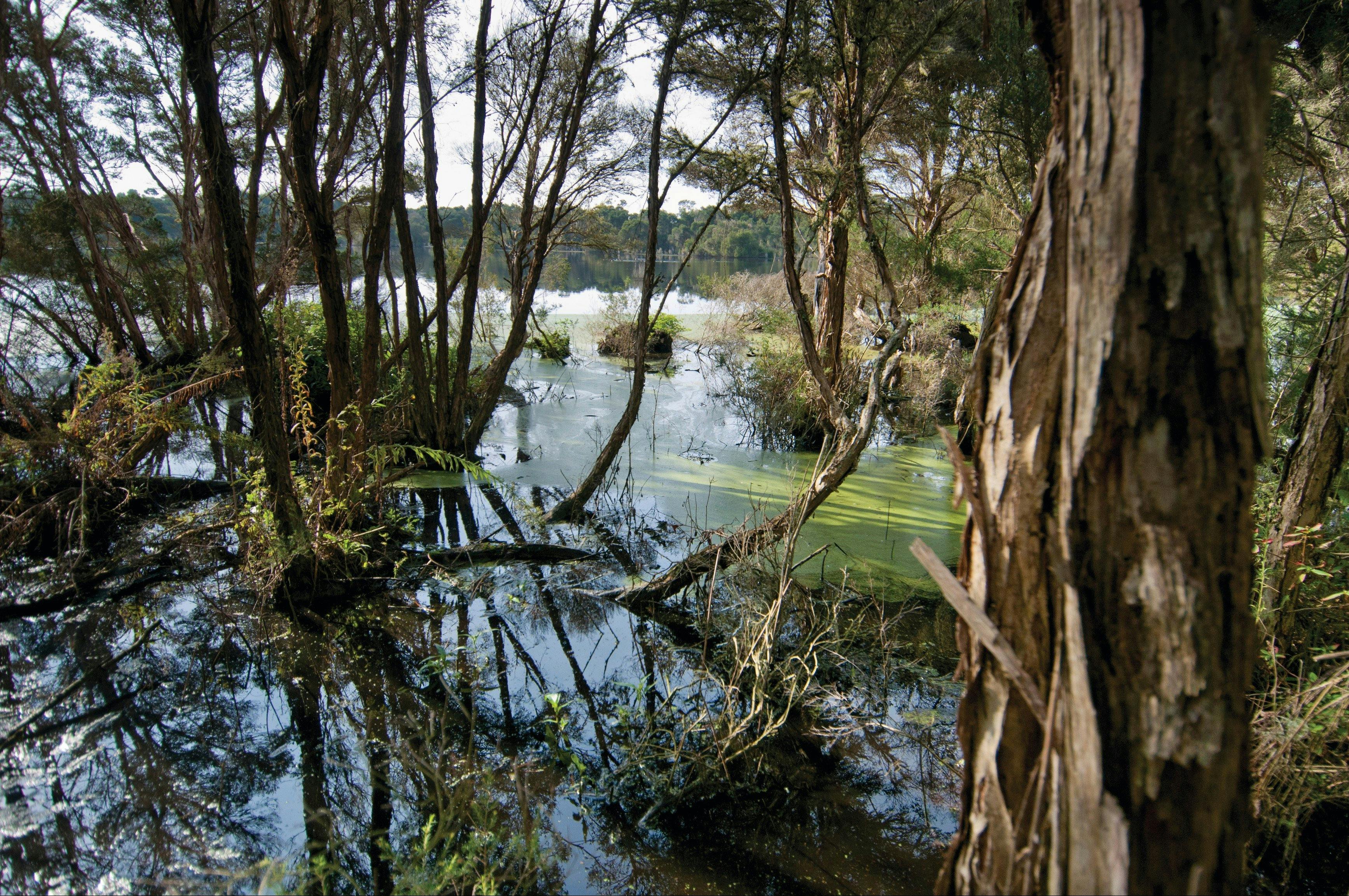 French Island National Park