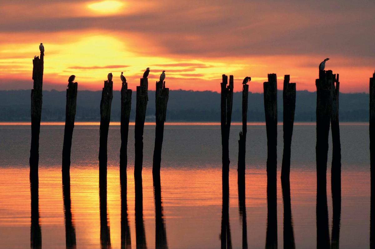 French Island National Park