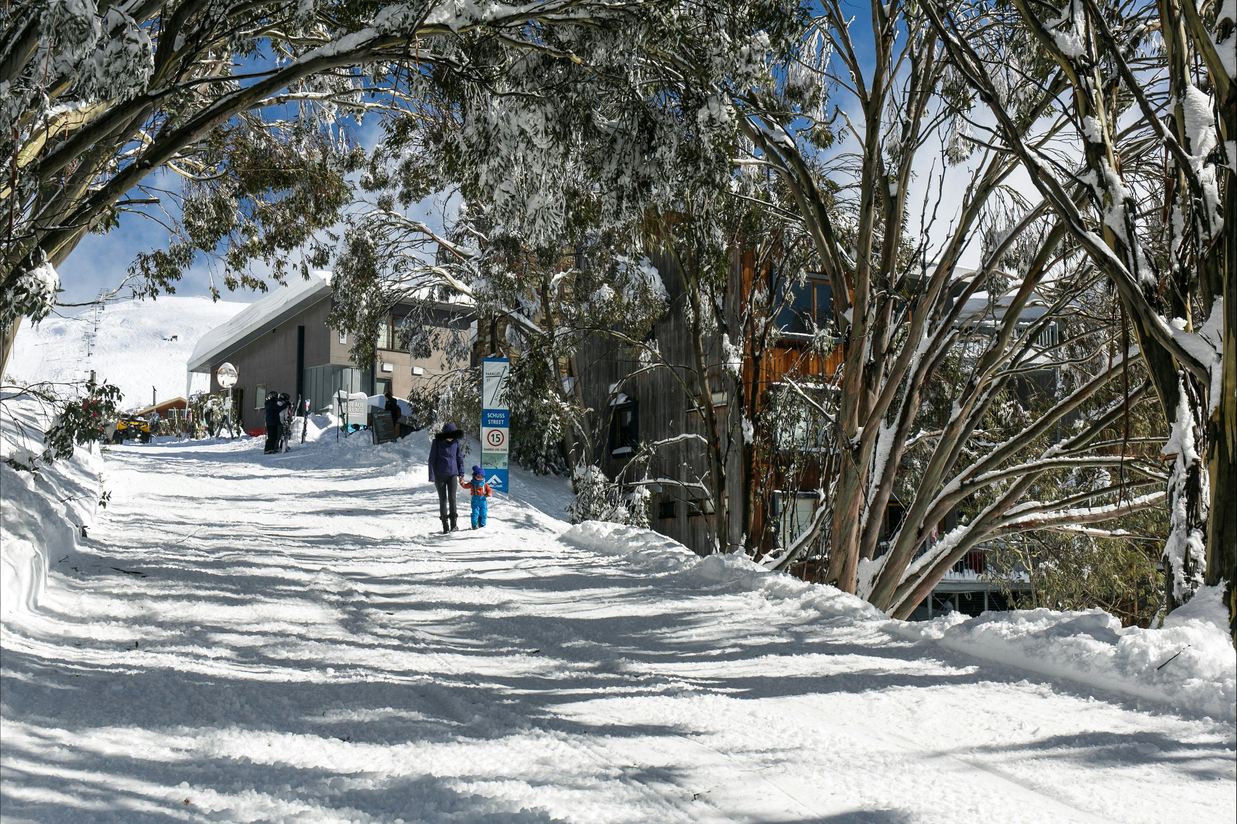 Schuss Street, Falls Creek