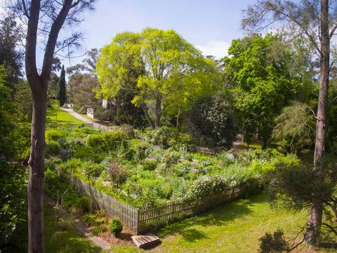 Heide Museum of Modern Art