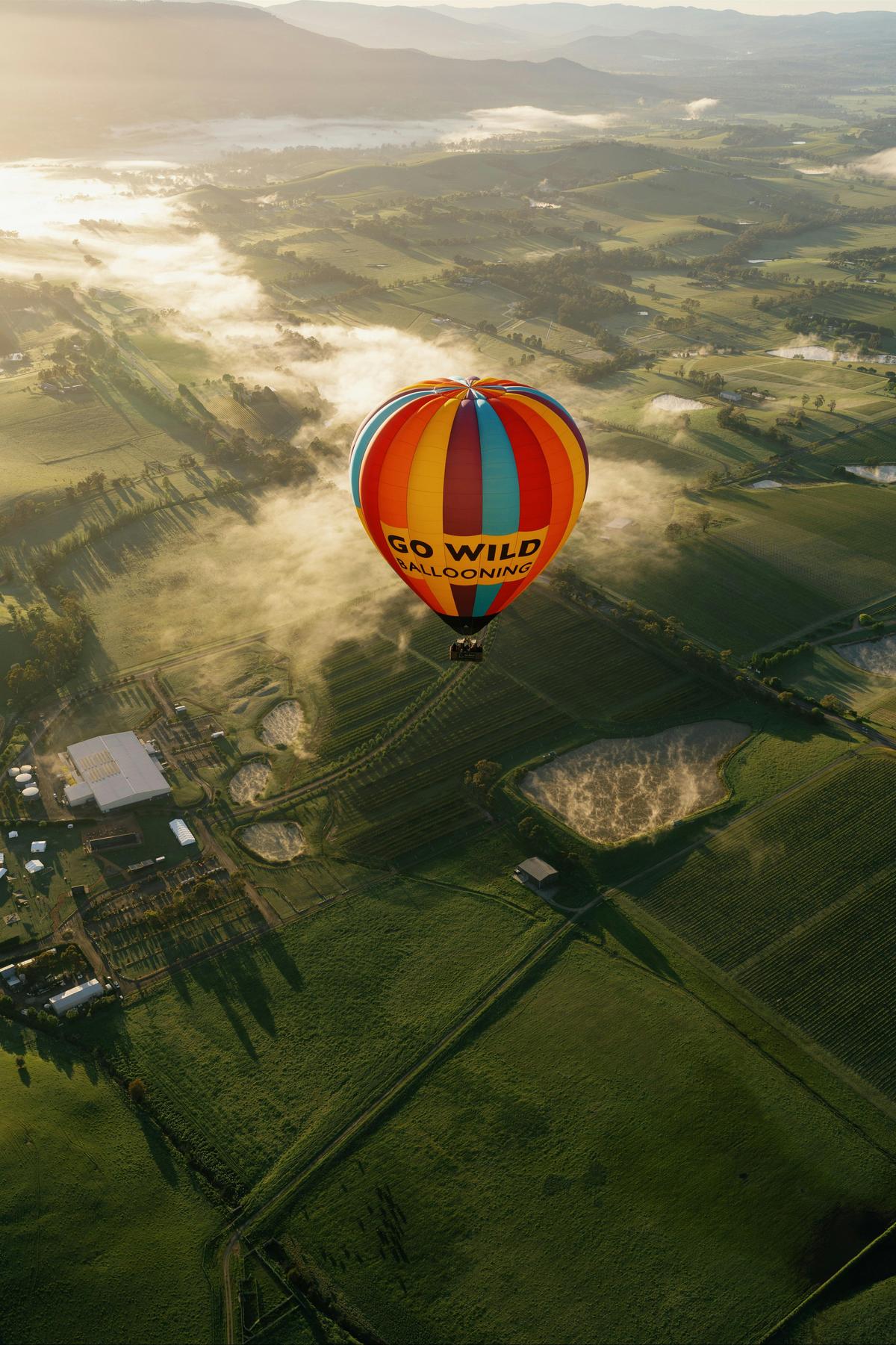 Yarra Valley Sunrise Go Wild Ballooning