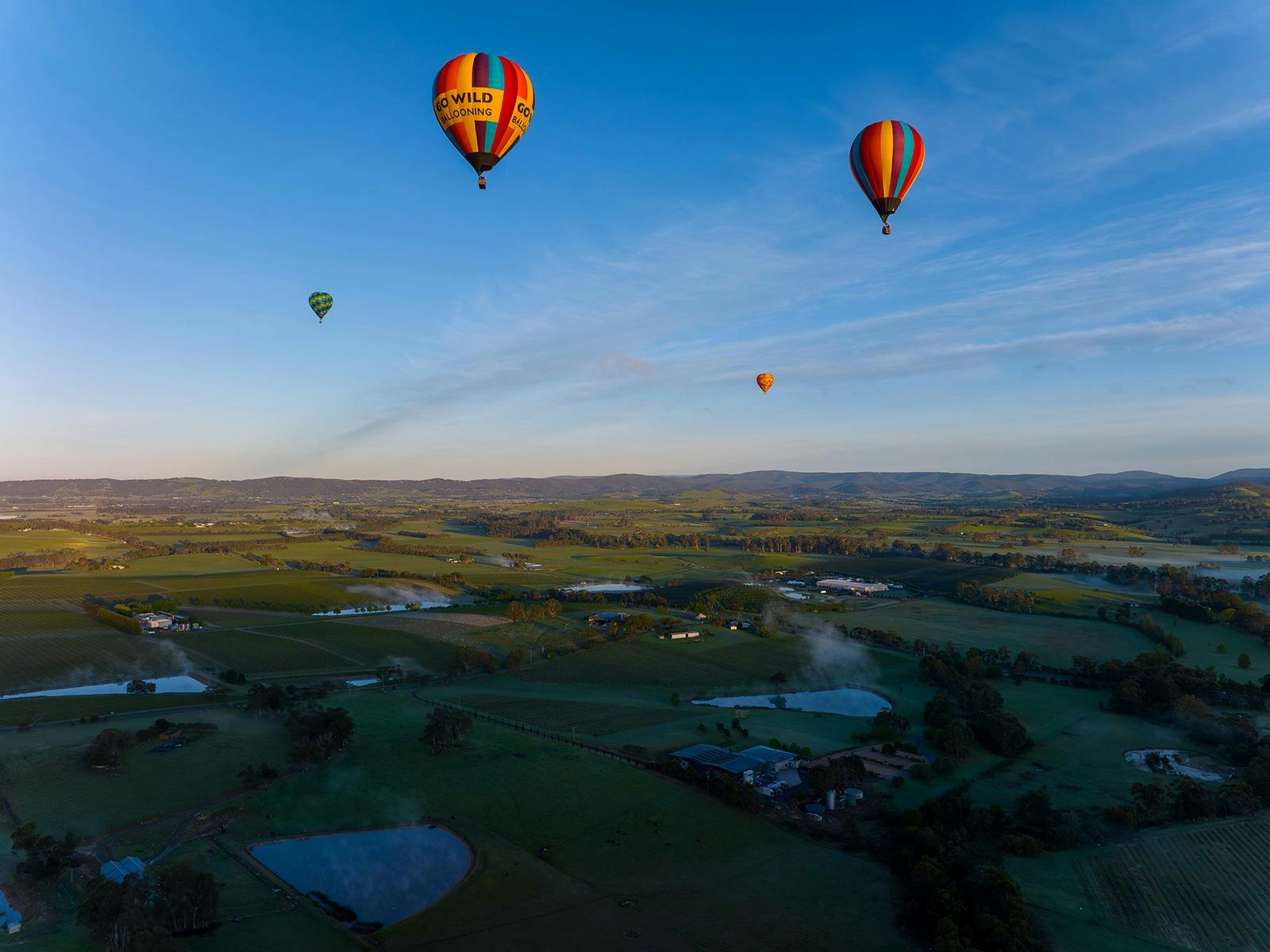 Floating above Yarra Valley.