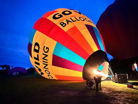 Go Wild Ballooning