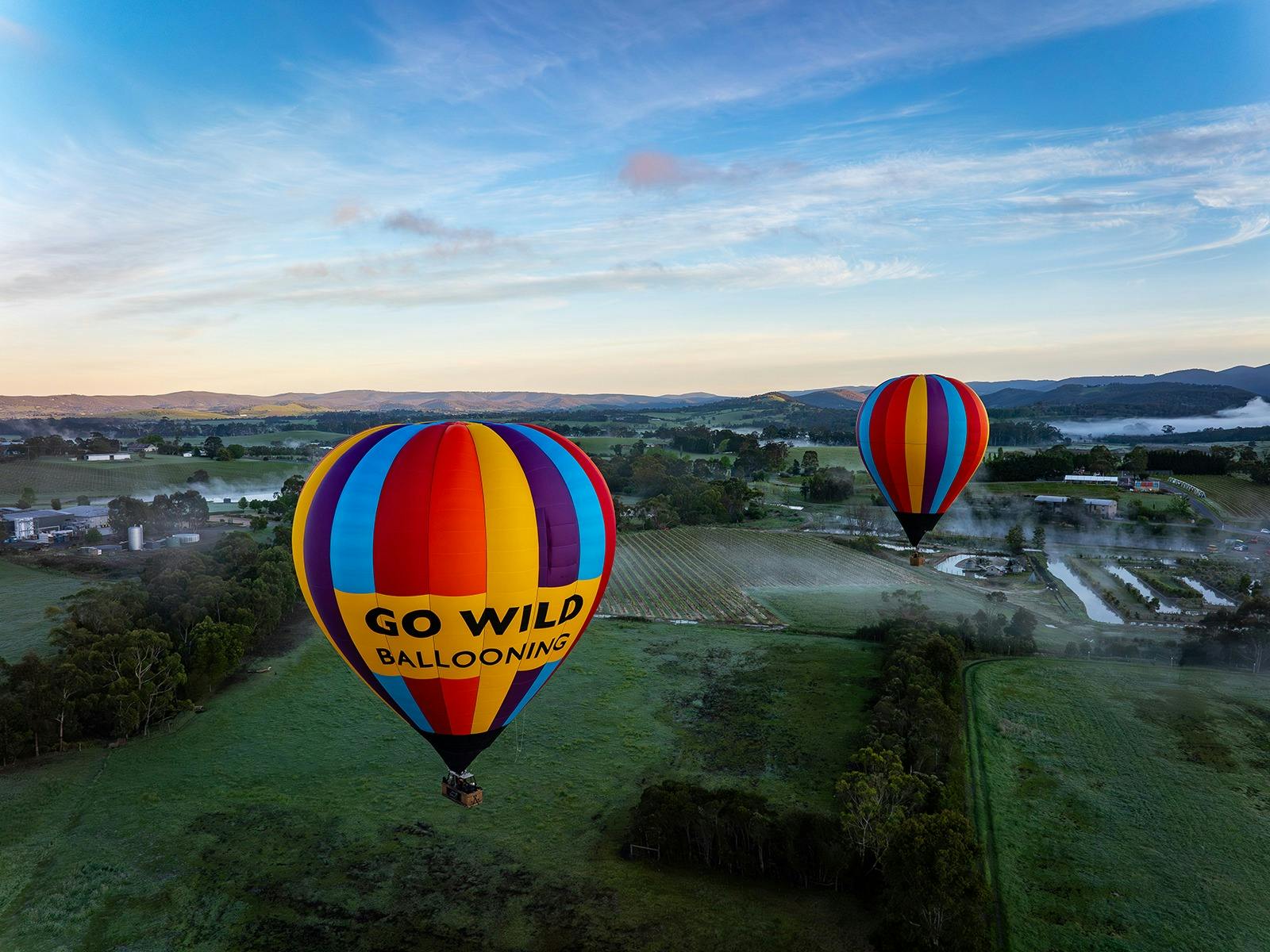 Floating above Yarra Valley.