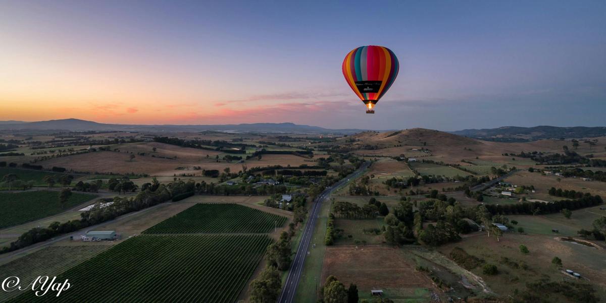 Yarra Valley Landscape