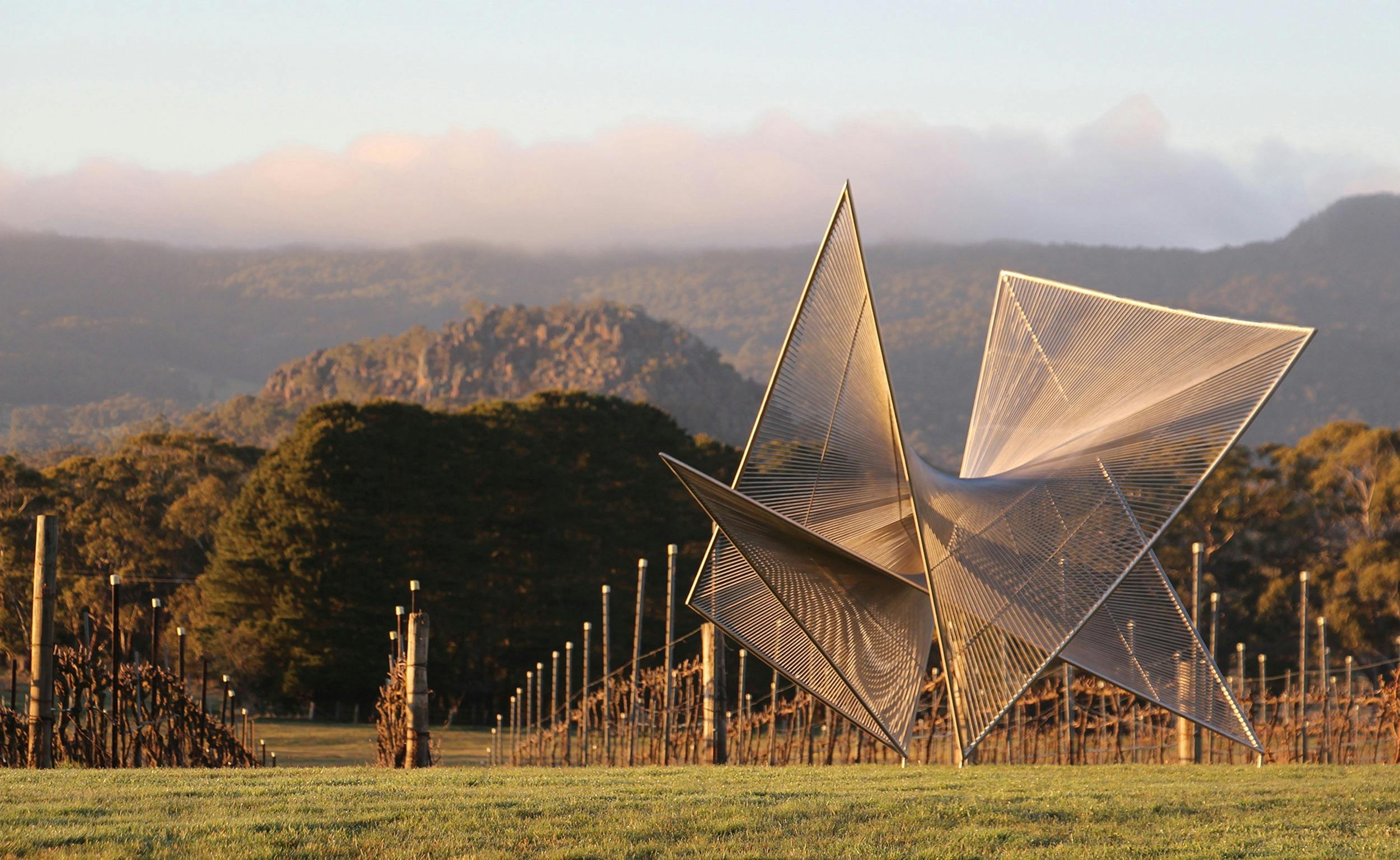 Art in the Vines at Hanging Rock Winery - Matt Harding
